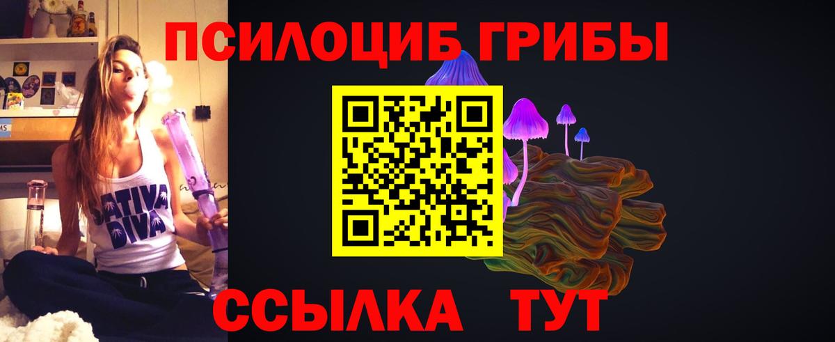 Галлюциногенные грибы Psilocybine cubensis Арзамас